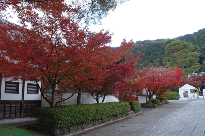 京都の紅葉_2021_24　南禅寺　No34