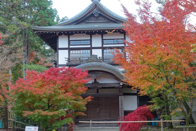 京都の紅葉_2021_24　南禅寺　No35