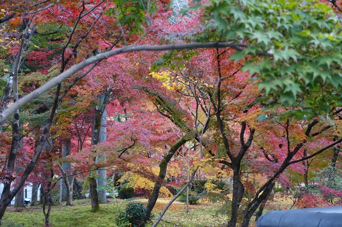 京都の紅葉_2021_24　南禅寺　No36