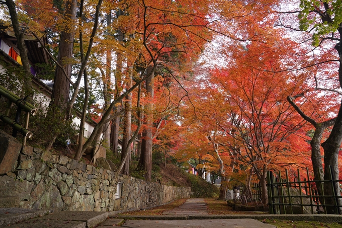 京都の紅葉_2021_18　苗秀寺_2　No9