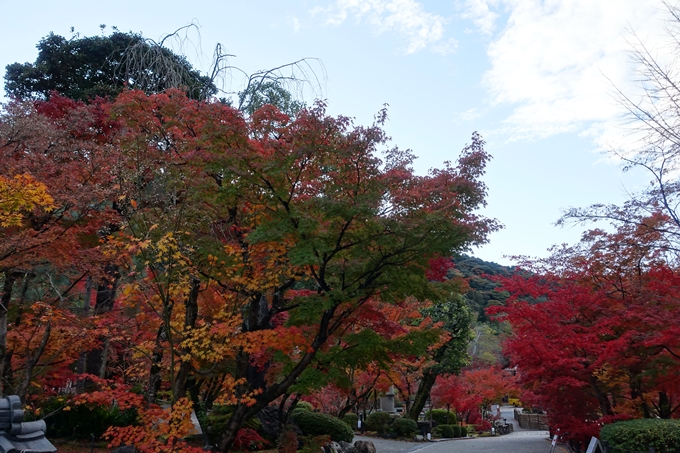 京都の紅葉_2021_24　南禅寺　No38