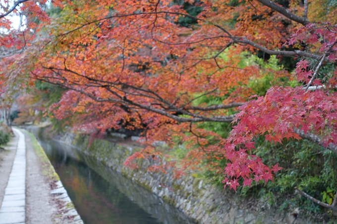 京都の紅葉_2021_24　南禅寺　No39