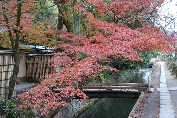 京都の紅葉_2021_24　南禅寺　No40