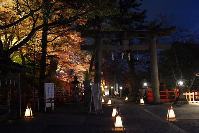 京都の紅葉_2021_19　出雲大神宮　No6