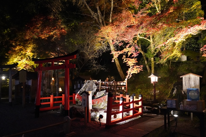 京都の紅葉_2021_19　出雲大神宮　No8