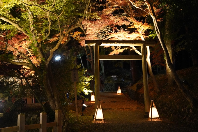 京都の紅葉_2021_19　出雲大神宮　No9