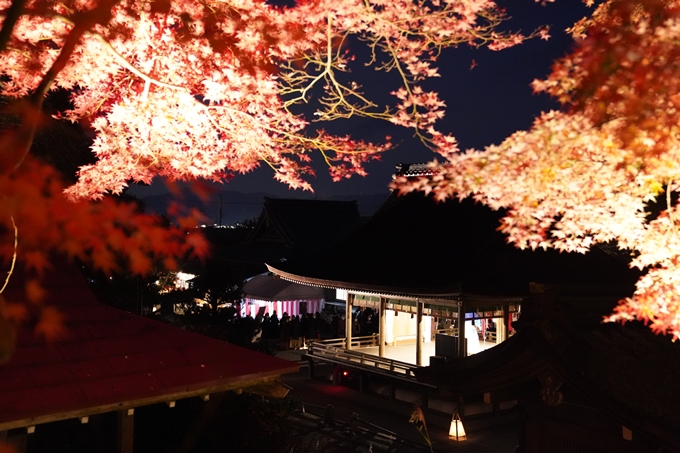 京都の紅葉_2021_19　出雲大神宮　No10