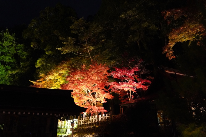 京都の紅葉_2021_19　出雲大神宮　No13