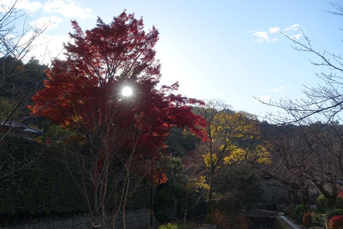 京都の紅葉_2021_24　南禅寺　No42