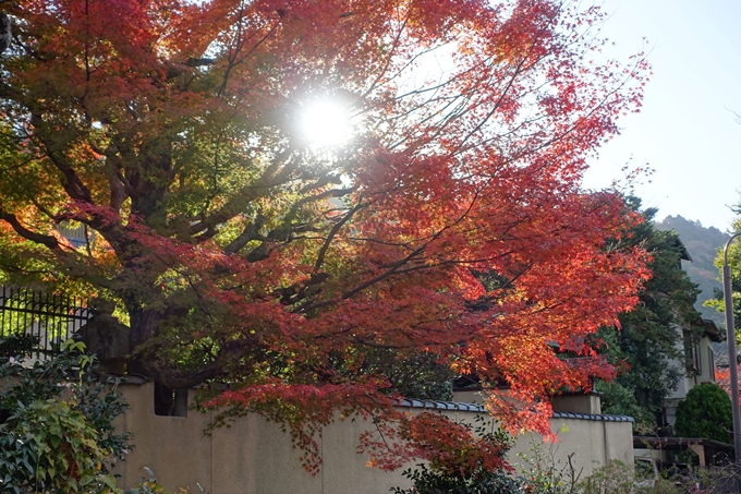 京都の紅葉_2021_24　南禅寺　No45