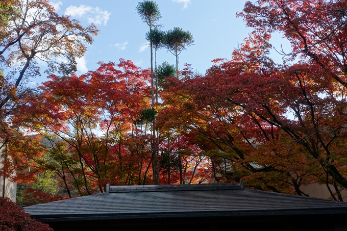 京都の紅葉_2021_24　南禅寺　No47