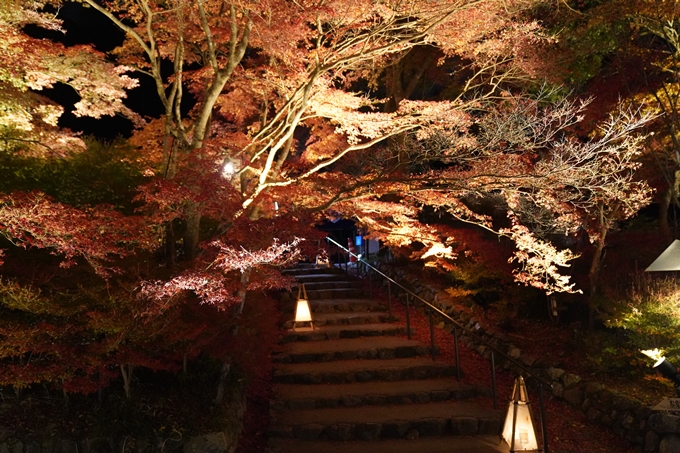 京都の紅葉_2021_19　出雲大神宮　No17