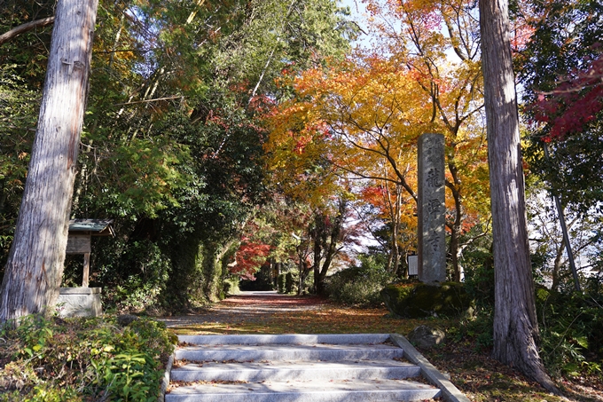 京都の紅葉_2021_20　龍潭寺　No2