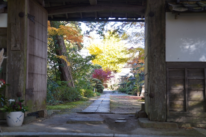 京都の紅葉_2021_20　龍潭寺　No6