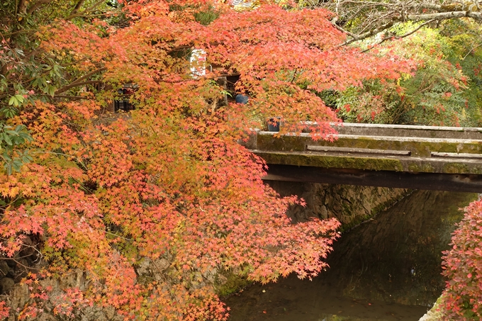 京都の紅葉_2021_24　南禅寺　No49