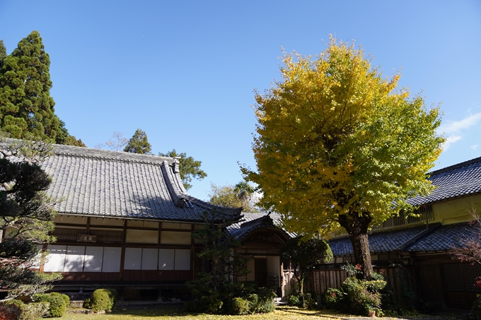 京都の紅葉_2021_20　龍潭寺　No10