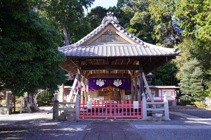 京都の紅葉_2021_21　薭田野神社　No5