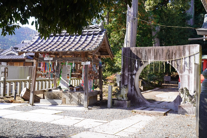 京都の紅葉_2021_21　薭田野神社　No6