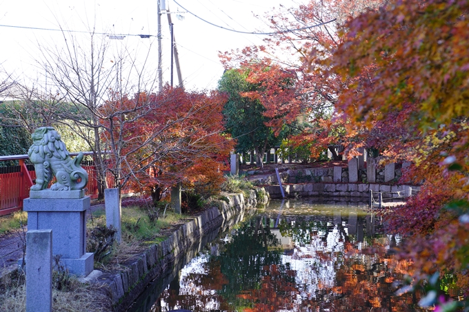 京都の紅葉_2021_21　薭田野神社　No12