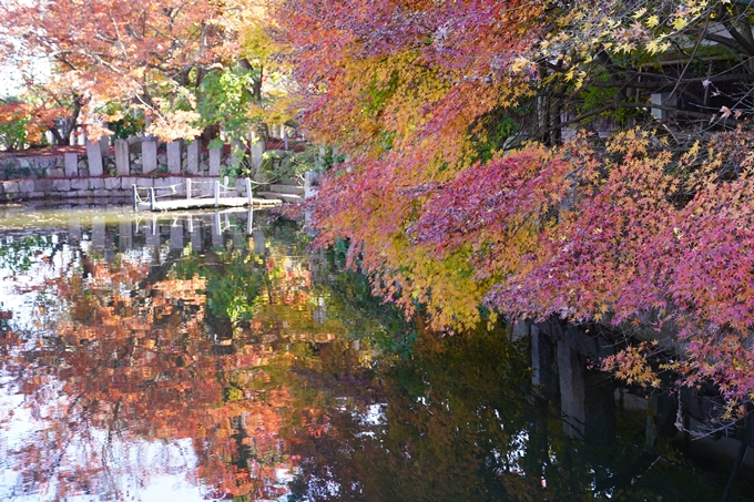 京都の紅葉_2021_21　薭田野神社　No14