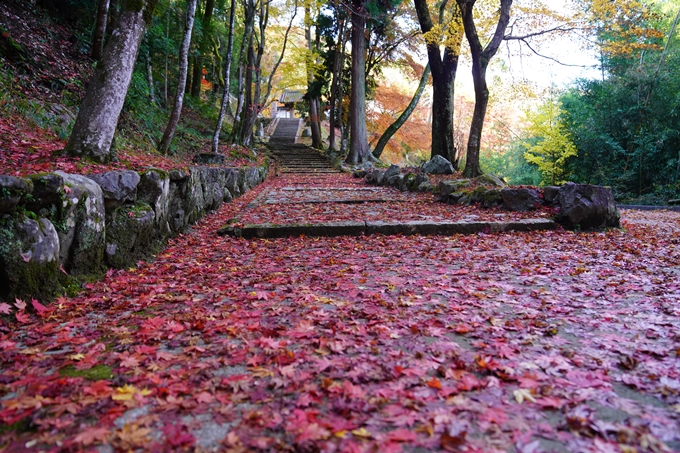 京都の紅葉_2021_22　積善寺　No2