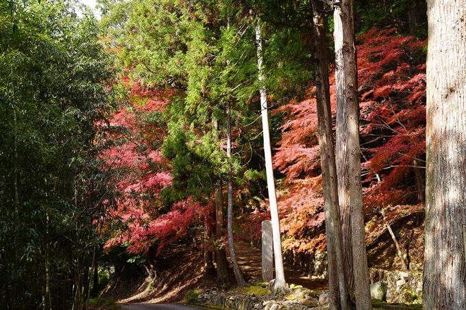 京都の紅葉_2021_23　法常寺　No2