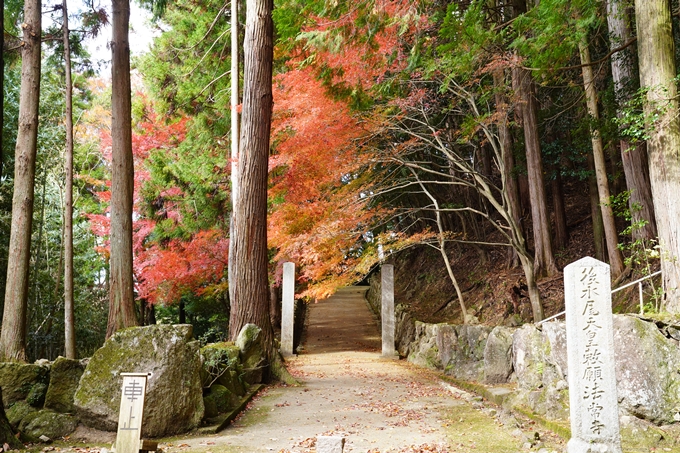 京都の紅葉_2021_23　法常寺　No3