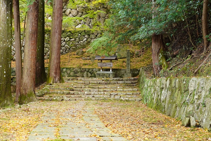 京都の紅葉_2021_23　法常寺　No4