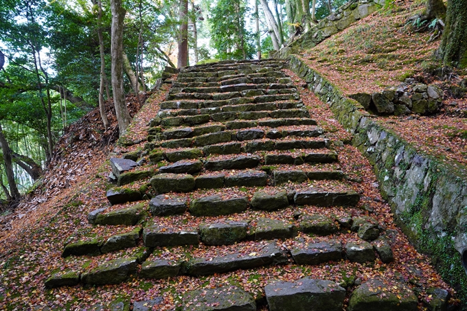 京都の紅葉_2021_23　法常寺　No9