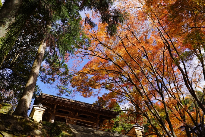 京都の紅葉_2021_23　法常寺　No10