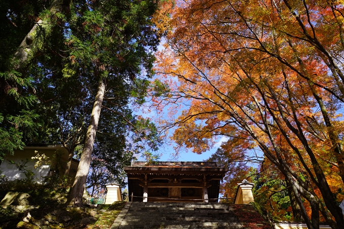 京都の紅葉_2021_23　法常寺　No12