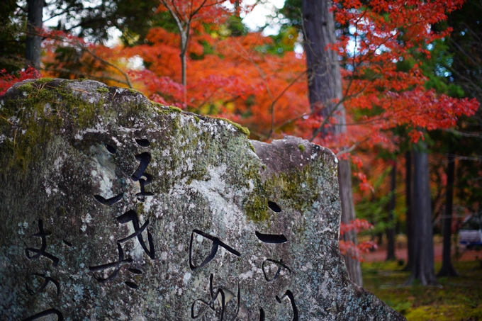 京都の紅葉_2021_24　南禅寺　No7