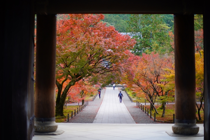 京都の紅葉_2021_24　南禅寺　No9