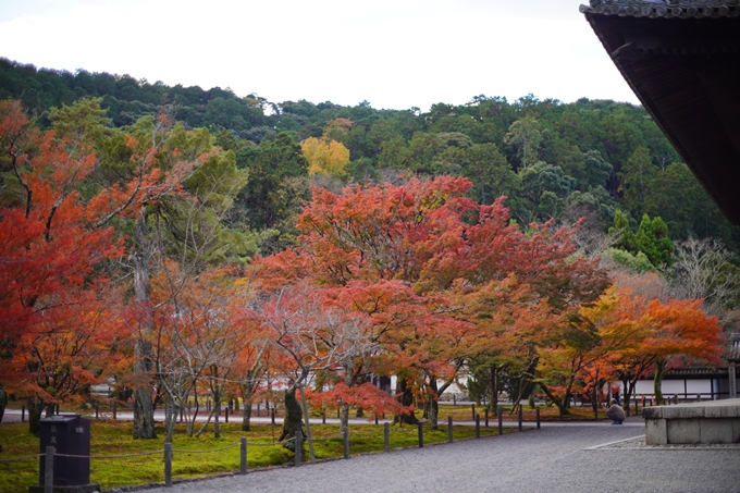 京都の紅葉_2021_24　南禅寺　No11