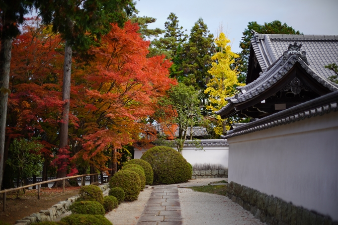 京都の紅葉_2021_24　南禅寺　No13