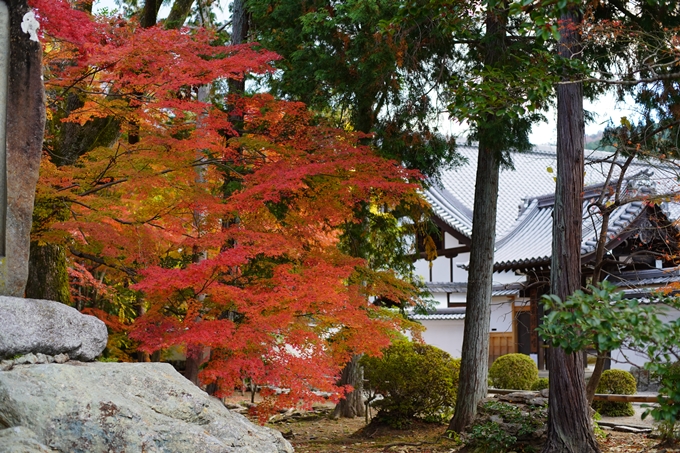 京都の紅葉_2021_24　南禅寺　No14