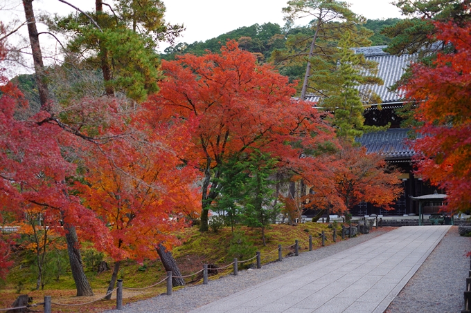 京都の紅葉_2021_24　南禅寺　No16