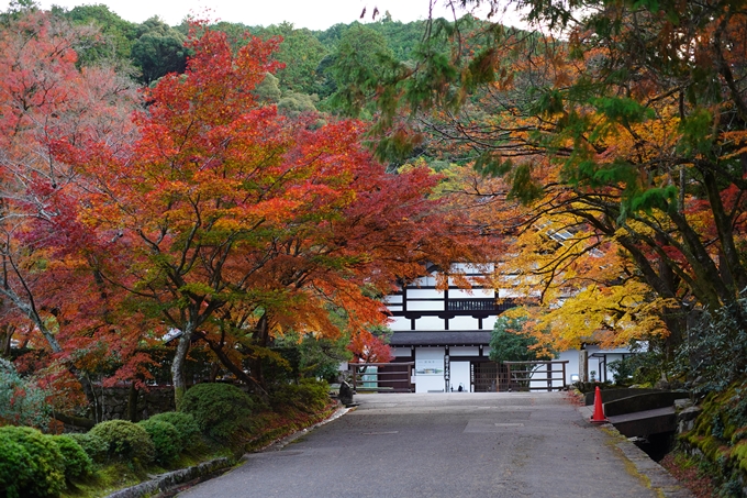 京都の紅葉_2021_24　南禅寺　No17