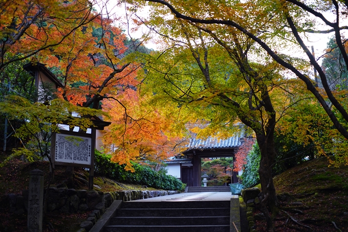 京都の紅葉_2021_24　南禅寺　No18