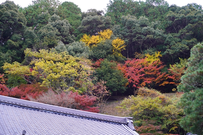 京都の紅葉_2021_24　南禅寺　No19