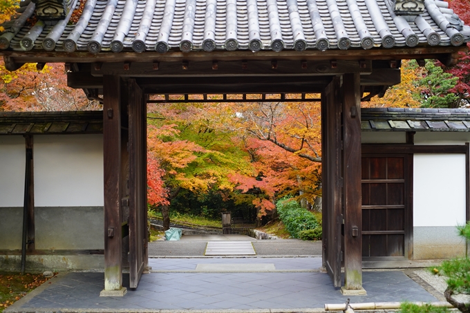 京都の紅葉_2021_24　南禅寺　No20