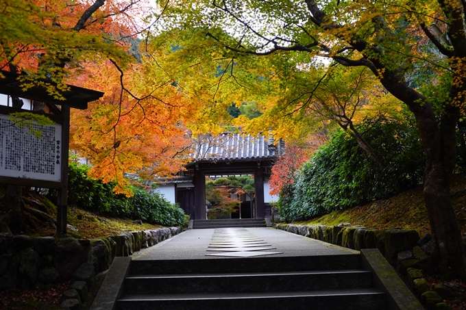 京都の紅葉_2021_24　南禅寺　No21