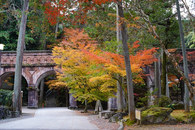 京都の紅葉_2021_24　南禅寺　No22