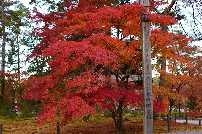 京都の紅葉_2021_24　南禅寺　No23