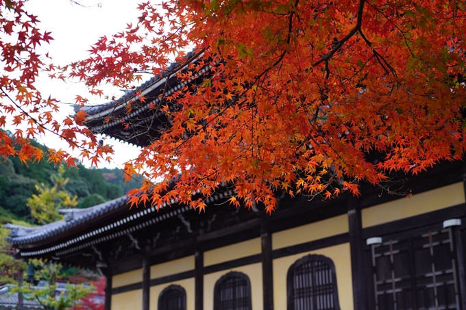 京都の紅葉_2021_24　南禅寺　No25