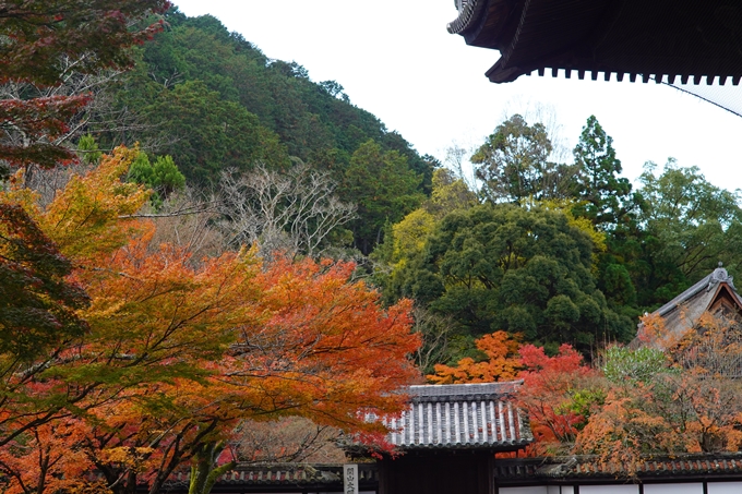 京都の紅葉_2021_24　南禅寺　No26