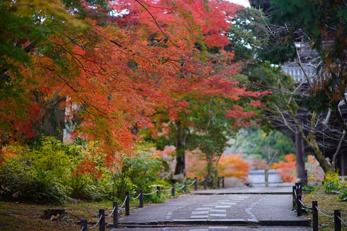 京都の紅葉_2021_24　南禅寺　No30