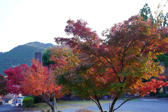 京都の紅葉_2021_13　苗秀寺　No3