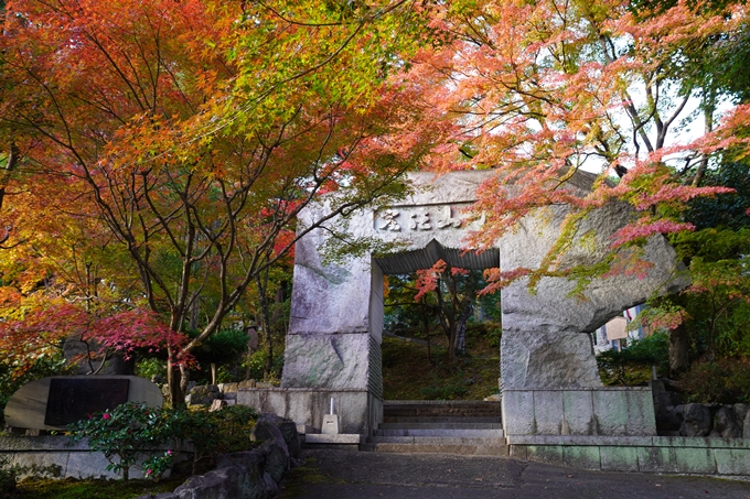 京都の紅葉_2021_13　苗秀寺　No4