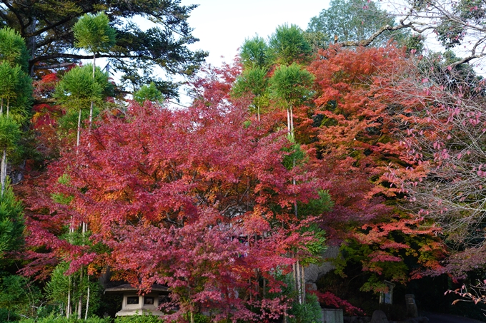 京都の紅葉_2021_13　苗秀寺　No7